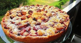 Zwetschgenkuchen mit Zimtstreuseln frisch gebacken in der Springform