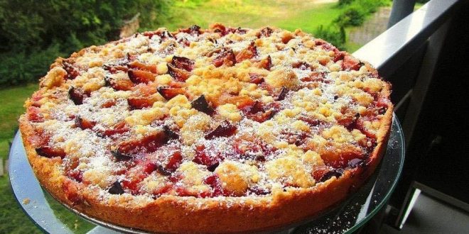 Zwetschgenkuchen mit Zimtstreuseln frisch gebacken in der Springform