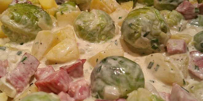 Kasseler-Rosenkohl-Auflauf – REZEPTE VON HEUTE