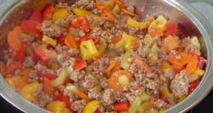 Hackfleisch Gemüse Pfanne mit Paprika, Zucchini und Champignons