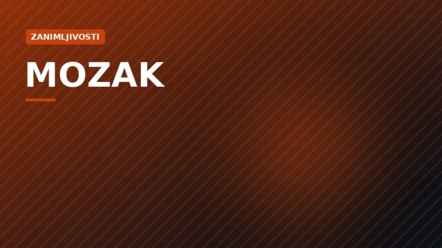 Sedam činjenica o ljudskom mozgu koje vas mogu iznenaditi