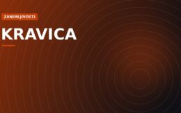 Vodopad Kravica: hercegovački amfiteatar od vode